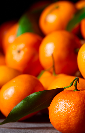 Babà with mandarin orange